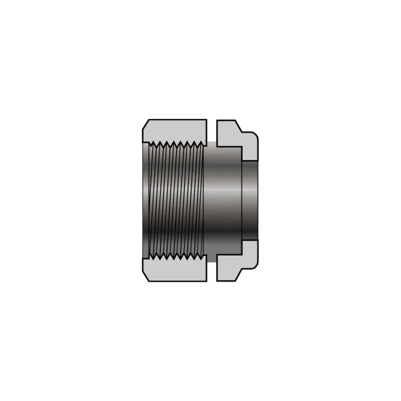 nuts_caps_plugs_Female_Nut_fittings_regulators_hoses_fluid_system_assemblies_RTGC_series_general_tied_diaphragm_valves_regulators_20D_series_tube_fittings_valve