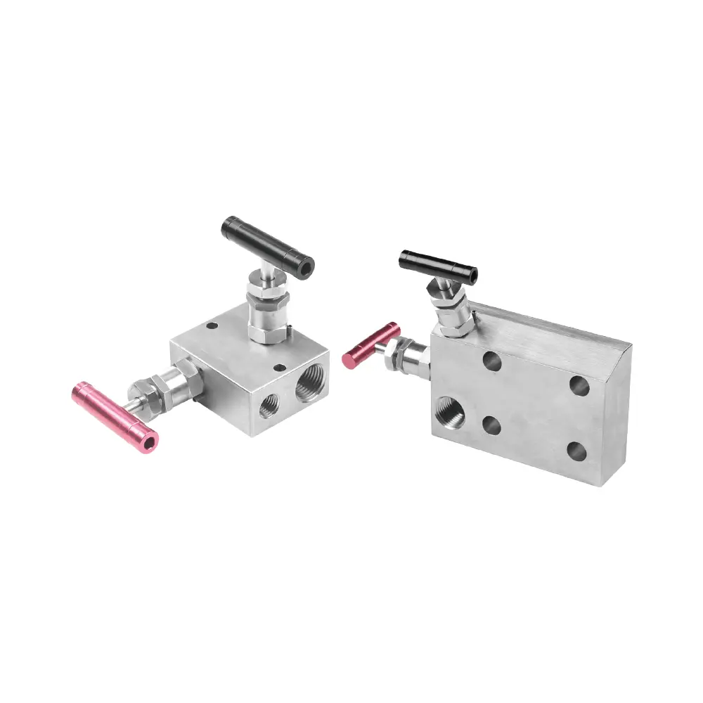 Manifolds_2D_Series_2DSS-FNS8-A-VR1-Series-fittings-_valves_regulators_hoses_fluid_assemblies_RTGC_series_general_tied_diaphragm_valves_regulators_20D_series_tube_fittings_webp.webp